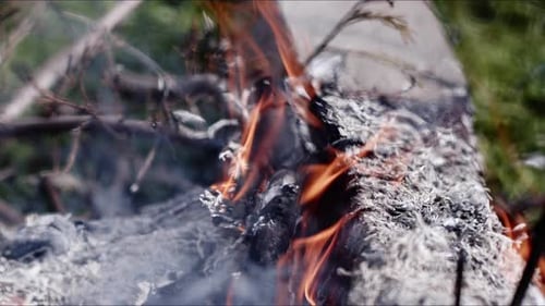 Abstract Oak Wood Bonfire In Flames Smoke And Ashes 16