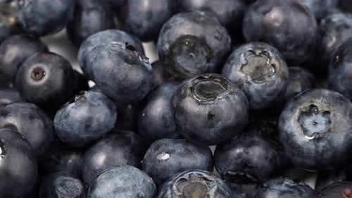 Ripe rotating blueberries on a light background.