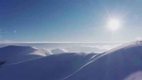 High Snowy Mountain Covered with Evergreen Fir Trees on a Sunny Cold Day