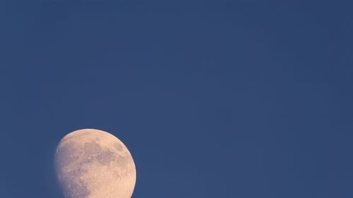 Diagonal fast moon-rise. Yellowish-orange waxing gibbous moon against a cloudless dark blue sky.