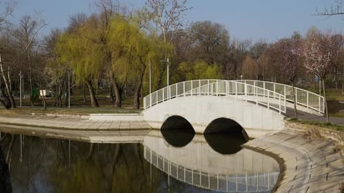 View Of Park Lake Bridge At Early Spring. Trees On Background