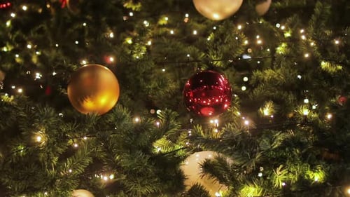 Decorated Christmas Tree with Lights and Ornaments