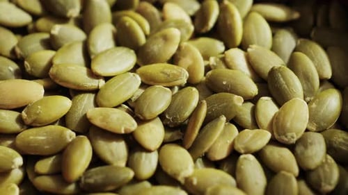 Macro Shot of Pile of Pumpkin Seeds