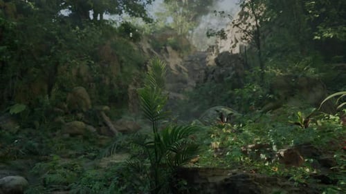 A Lush Green Forest Filled with Lots of Trees