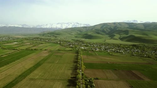 Aerial view of fields during spring