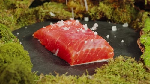 Red Fish Salmon Steak Fillet Meat Closeup Trout or Salmon Texture and Macro with Lemon and Moss