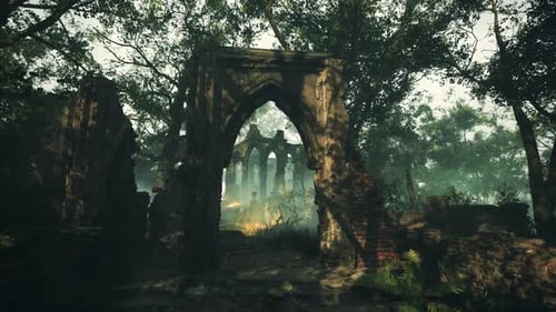 Abandoned Church Ruins Amidst Woodland