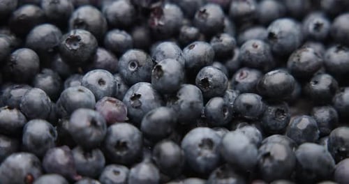 Healthy Organic Fresh Juicy Blueberry Fruit Berrie Macro Background
