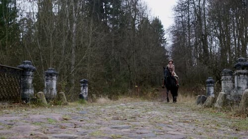 Promenade à cheval du XIXe siècle dans le jardin royal, femme adulte en costume vintage, chevauchant un étalon noir en automne