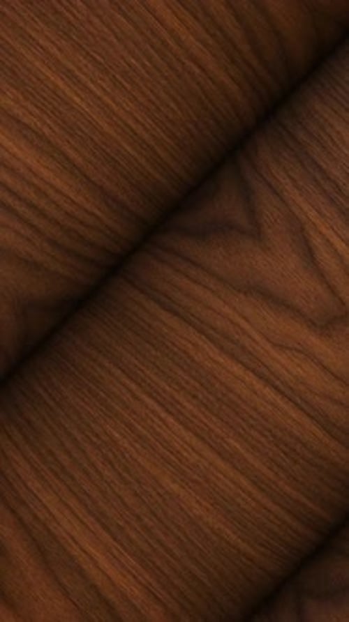 Black Walnut Wooden Logs, Natural Texture and Fibers