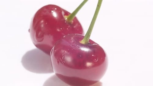 Fresh Cherries Still Life on White