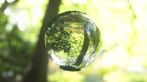 Naturschutz Konzept