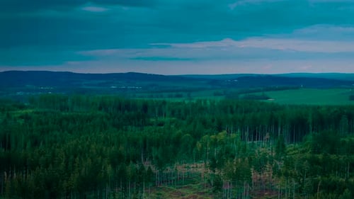 Conifer Forest Spreading Across Hilly Landscape Under Cloudy Sky Tall Pines Covering Rolling Terrain