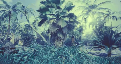 Atmospheric Slow Motion Through Tropical Palm Tree Jungle