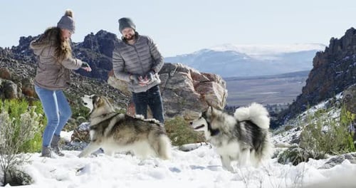 Travel, dogs or couple in snow playing a game with freedom, adventure or fun on holiday vacation