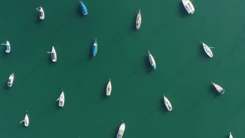 Top view of yacht cub and marina on sunny day.