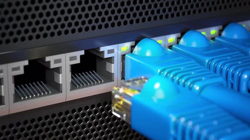 A Row of Lan Ethernet Cable Plugging in Server or Router 3d Animation
