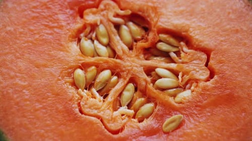 Melon orange frais, juteux et sucré avec graines. Saison de récolte.