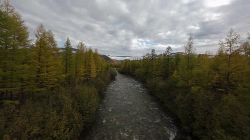 A stunning aerial view reveals vibrant autumn foliage and a serene river winding through the forest.