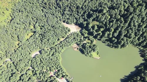 natural lake green forest landscape