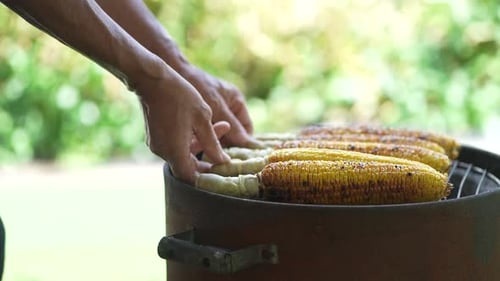 Corn on the Cob being Grilled Outdoors