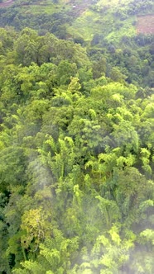 Samoeng Forest Park Views of the Forest and Mountains Mae Sa Valley Loop Chiang Mai Thailand