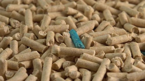 Biodegradable sawdust cat litter closeup rotates side view. Pet toilet or cat litter box. Natural