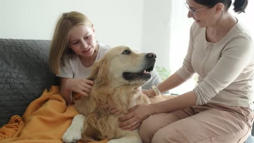 Girl and Adult Petting Dog on Sofa