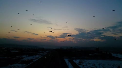 At sunset, a drone flying with crows over the road