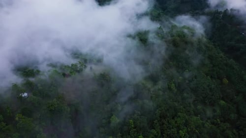 Von oben mit Wald bedeckte Berggipfel