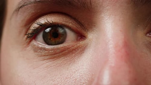 Grün-Braune Makro-Nahaufnahme, blinkendes Auge der Frau mit langen Wimpern und Kontaktlinsen, Schönheit