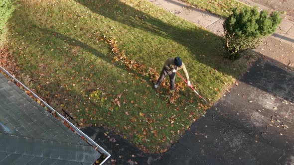 A person raking leaves into lines to clean up their yard., People Stock ...