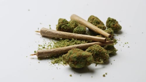 Medical marijuana buds with joint spinning on white background