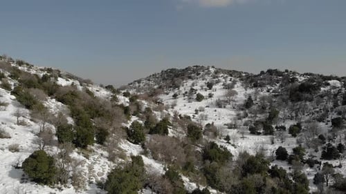 Forest and mounatin with snow, aerial, Hermon mountain