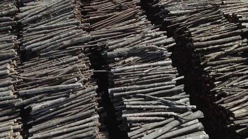 Luftaufnahme der Wood Processing Factory einer großen Anzahl von für die Verarbeitung geernteten Baumstämmen Ansicht von einem