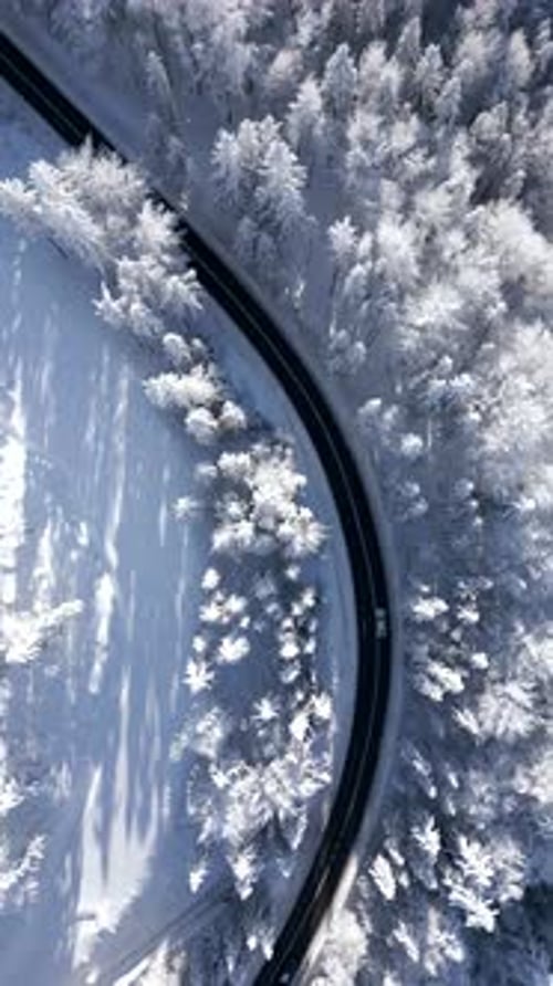 Top View of a Car Driving Through a Breathtaking Snowy Forest in the Mountains