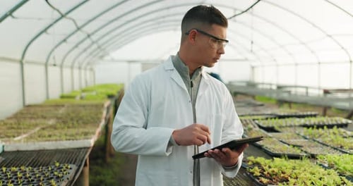 Man in Greenhouse Working on Tablet Device