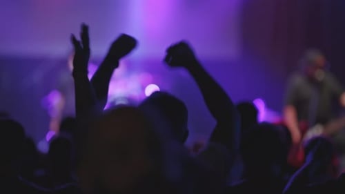 Crowd Silhouettes Enjoying a Live Music Concert