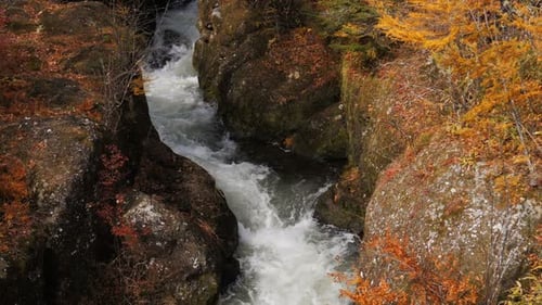 Little Stream In Autumn