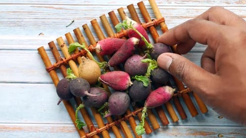 Hand Pick Radish Bundle on Table