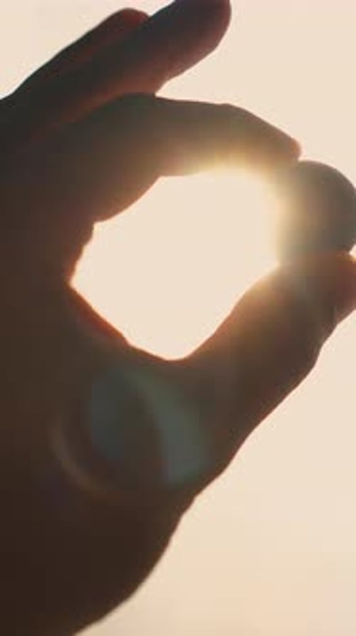 Main d'homme avec une petite pièce au rétroéclairage du soleil