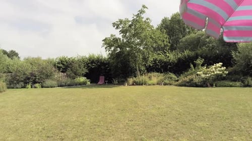 The Beautiful Greenery In The Garden With A Wonderful Landscape Of Trees And Variety Of Plants - Wid