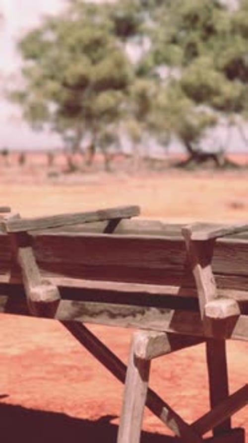 Traditional Old Wooden Aqueduct in Savanna