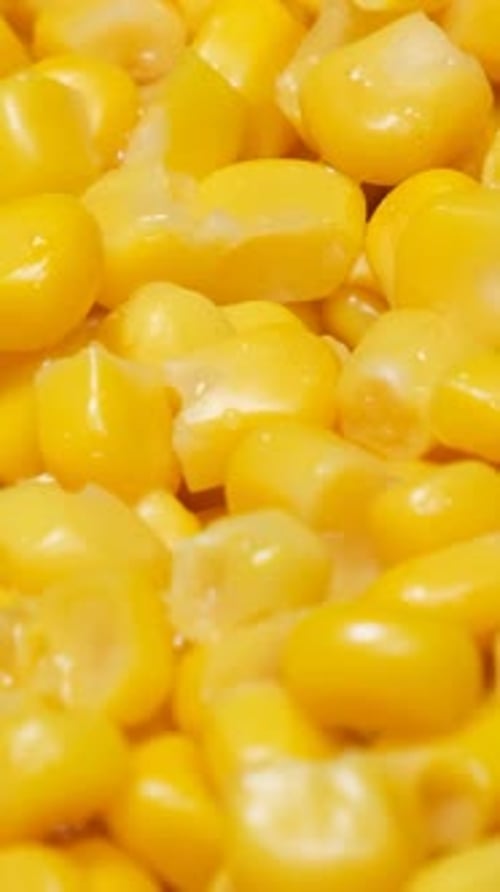 Macro Video of Corn Seeds Spinning in a Circle Closeup of Boiled Corn Vertical Video
