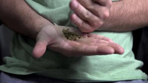 Man hands rolling a cannabis blunt with paper in coffeeshop in the Netherlands