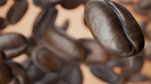 Coffee beans for your design. Coffee beans for your advertising. Slow-motion falling coffee beans cl