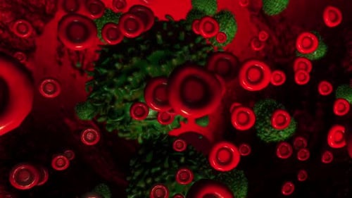 Virus, das rote Blutkörperchen angreift