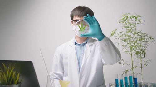 Scientist Holding Up Petri Dish With Plant