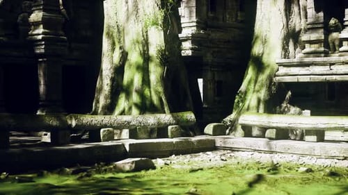 Ancien temple entouré d'une végétation luxuriante au Cambodge au crépuscule