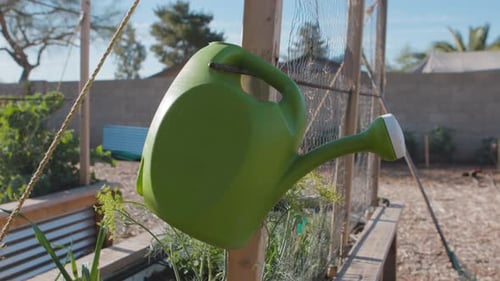 A Plastic Green Watering Can Hangs in a Garden on a Sunny